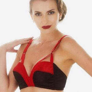 What Katie Did Valerie cathedral bra